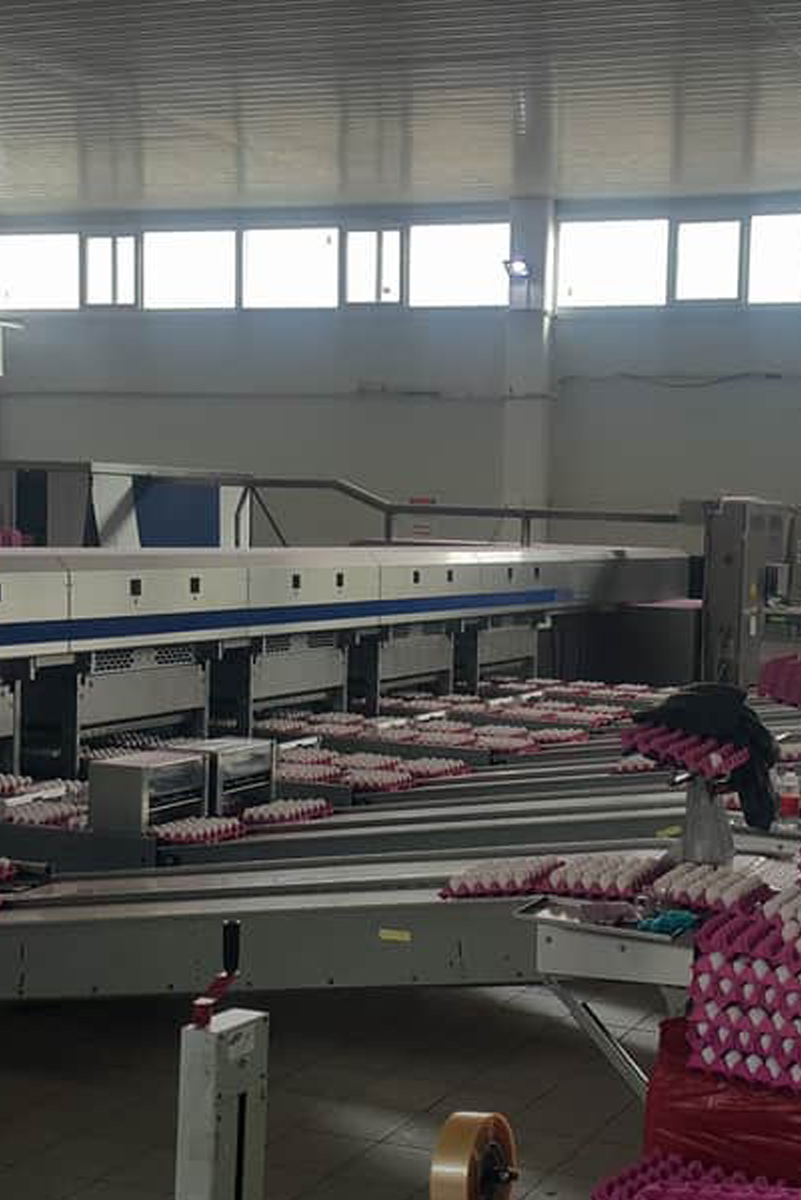 Üretim Proseslerimiz